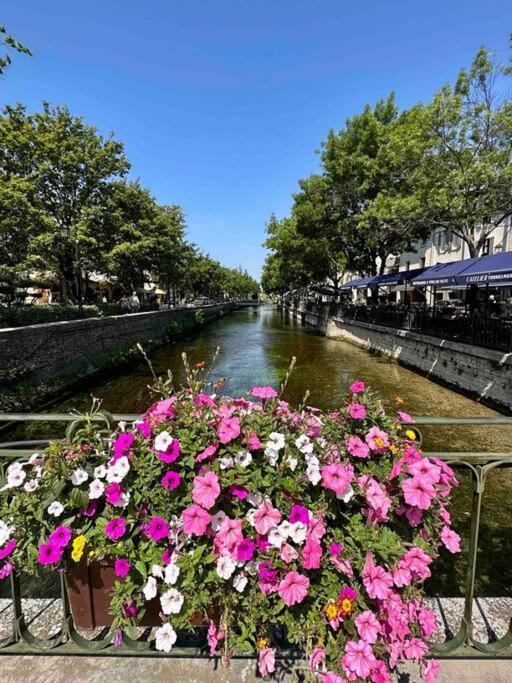 Lou Paseo : Appartement Brocante Centre Historique LʼIsle-sur-la-Sorgue Esterno foto